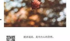 日本歌曲随波逐流,探寻日本歌曲中的悠扬旋律与深远情感