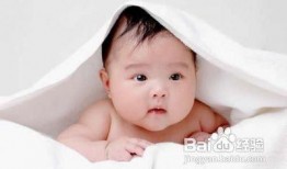 吃瓜的宝贝45集免费观看,揭秘剧情高潮，免费观看大放送！