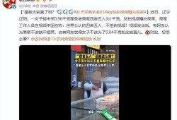 商家爆料的视频怎么拍的,幕后制作全解析