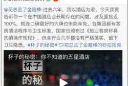 石家庄饭店爆料事件视频,事件真相与公众关注