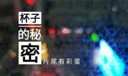 常州饭店爆料视频播放网站,一窥酒店内部真实情况