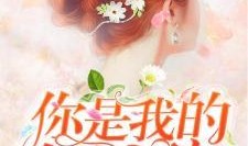 念念不忘在线观看,穿越时空的深情守候